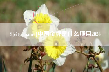 东海中国金牌是什么项目2024