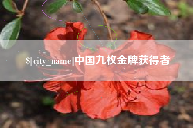 东海中国九枚金牌获得者