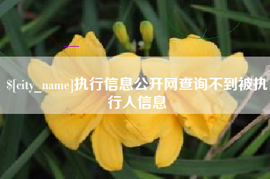 东海执行信息公开网查询不到被执行人信息