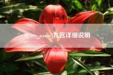 东海九宫详细说明