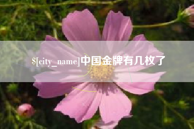 东海中国金牌有几枚了