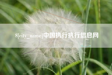 东海中国执行执行信息网