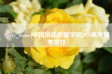 东海中国消防救援学院2020高考报考条件