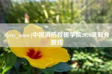 东海中国消防救援学院2021录取分数线