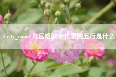 东海九宫格数字代表的五行是什么