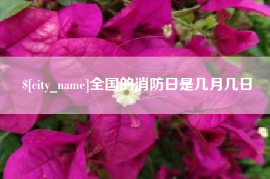 东海全国的消防日是几月几日