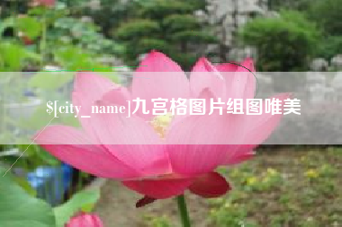 东海九宫格图片组图唯美