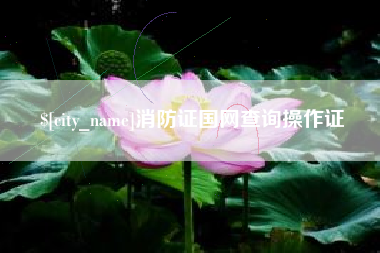 东海消防证国网查询操作证