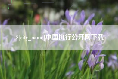 东海中国执行公开网下载