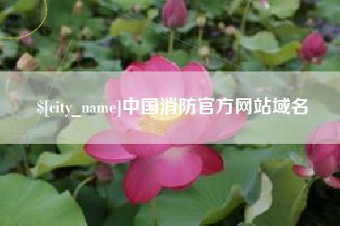 东海中国消防官方网站域名