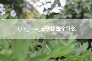 东海王子豪是个什么