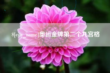 东海奥运金牌第二个九宫格