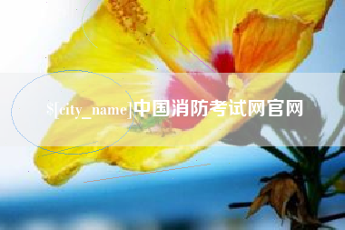 东海中国消防考试网官网