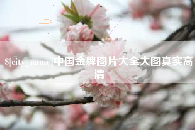 东海中国金牌图片大全大图真实高清