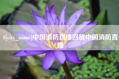 东海中国消防直播回放中国消防直播