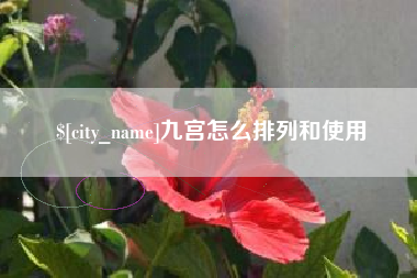 东海九宫怎么排列和使用