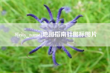 东海地图指南针图标图片