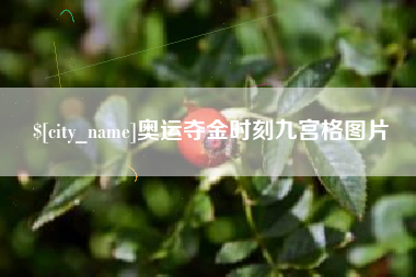 东海奥运夺金时刻九宫格图片