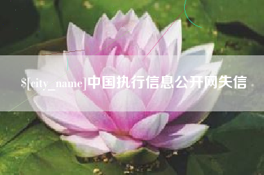 东海中国执行信息公开网失信