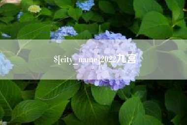 东海2022九宫