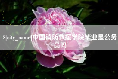 东海中国消防救援学院毕业是公务员吗