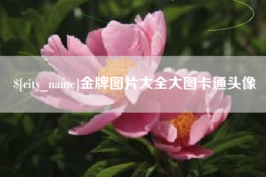 东海金牌图片大全大图卡通头像