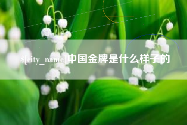 东海中国金牌是什么样子的